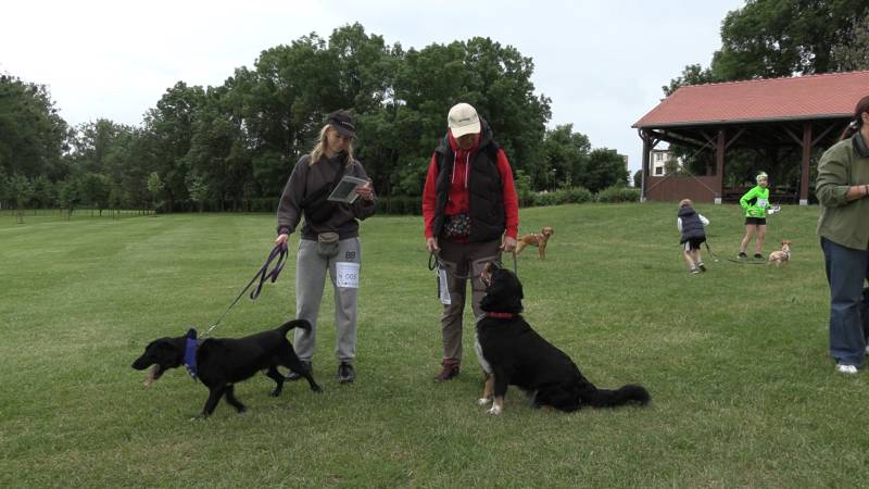 FINAŁ DOGTREKKINGU W BUKU